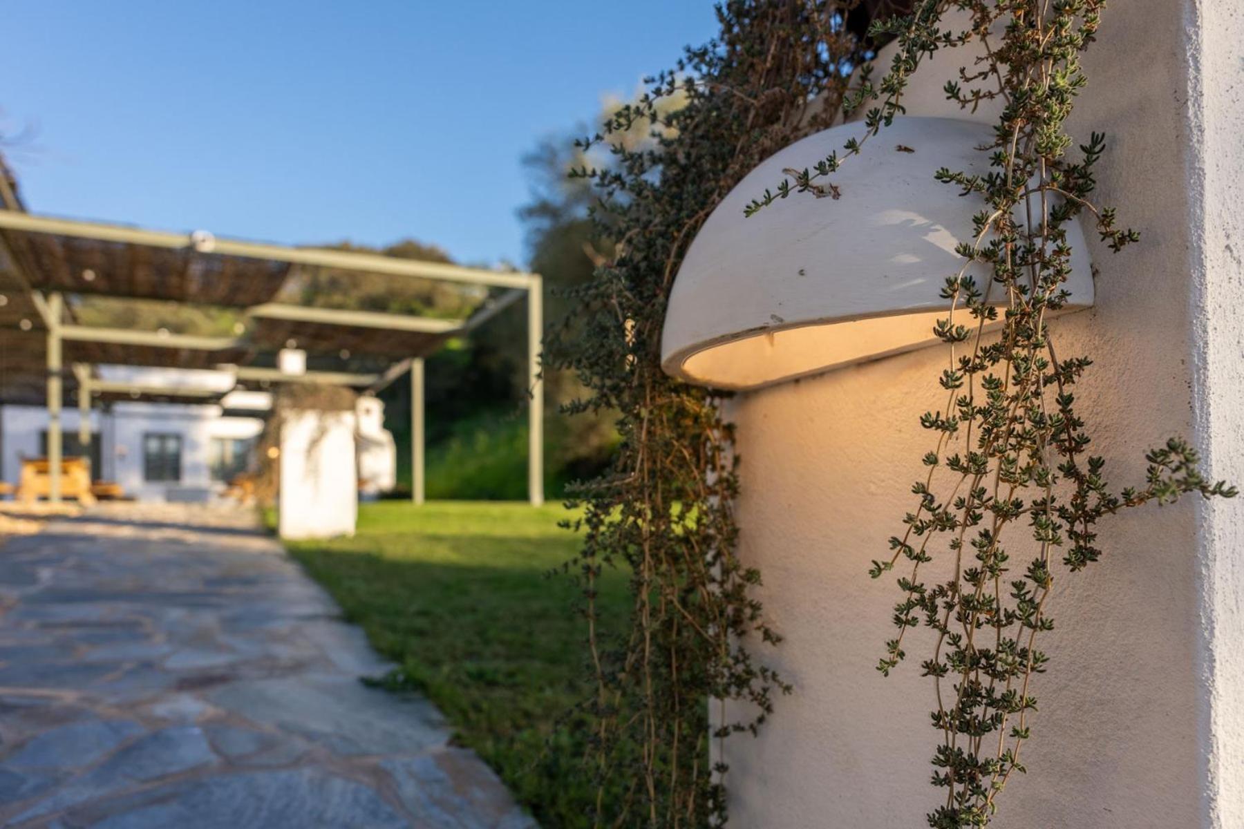 Apartamentos, Finca Contrabando Sanlucar Del Guadiana, Huelva Sanlúcar de Guadiana Екстериор снимка